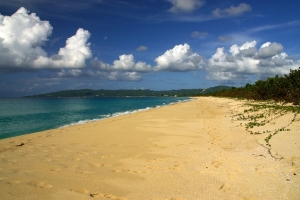 Stranden ved Sandy Point, St. Croix